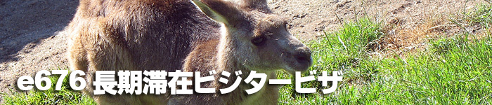 e676�����؍݃r�W�^�[�r�U�擾��s�T�[�r�X